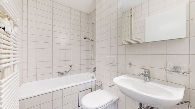 Zentrale Wohnung an grüner Lage gesucht? (6)