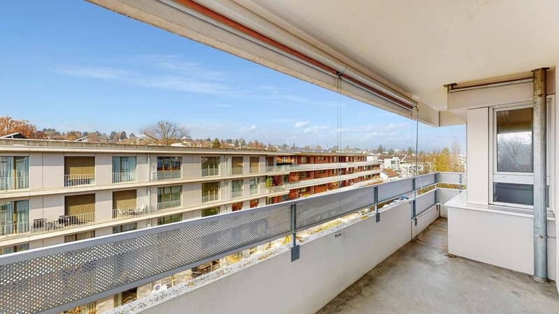 Zentrale Wohnung an grüner Lage gesucht? (9)