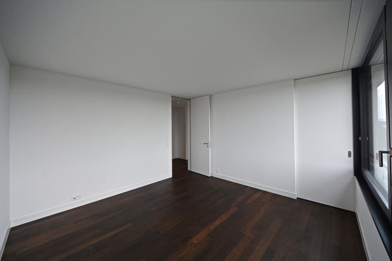 Suchen Sie eine Attikawohnung mit Blick über die Stadt Basel? (8)
