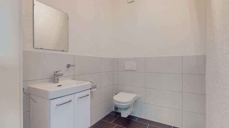 GF-a-Martigny-Toilette.jpg
