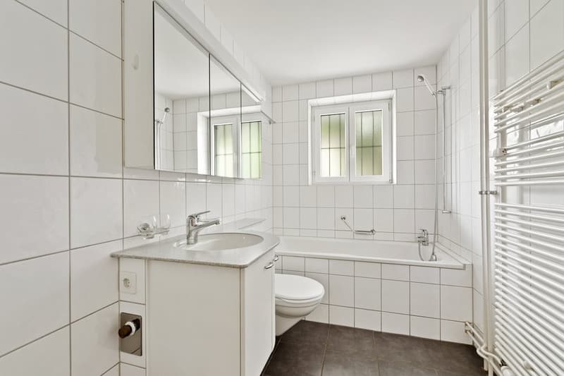 Suchen Sie eine Wohnung an zentraler aber ruhiger Lage? (5)