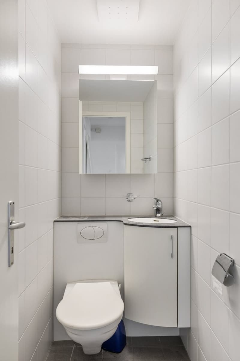 Möchten Sie zentraler wohnen? (5)