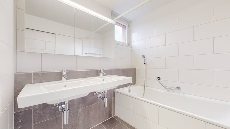 4.5-Zi-Whg-in-Winterthur-Bad.jpg