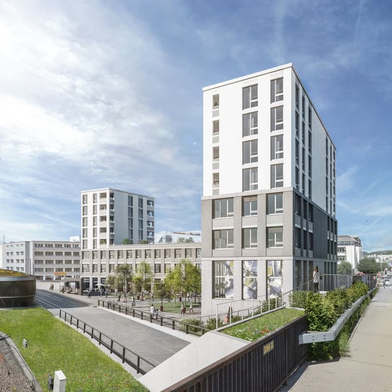 Visualisierung_Schaffhauserstrasse.jpg