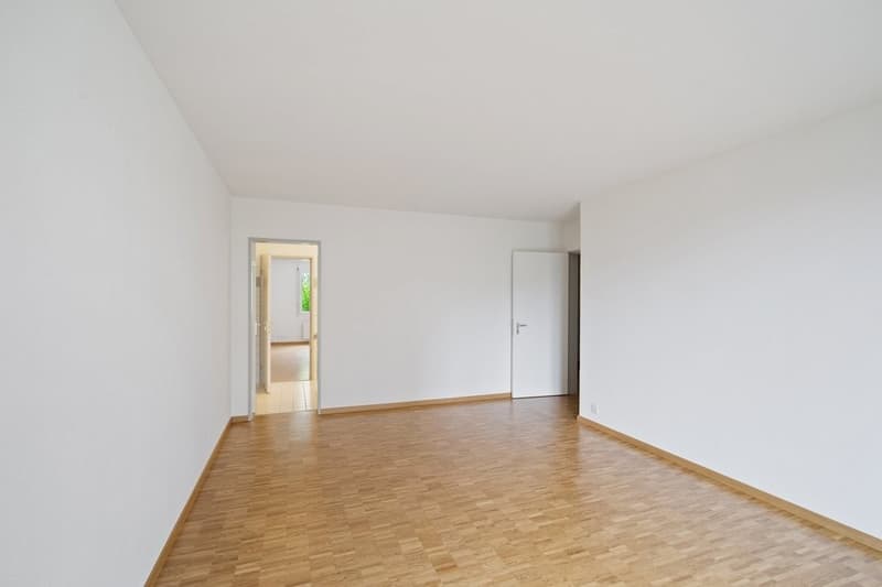 SG-8904-42-0001-zimmer1.jpg