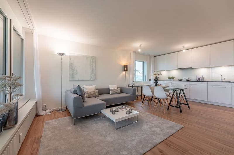 Träumen Sie von einer modernen Wohnung? (5)