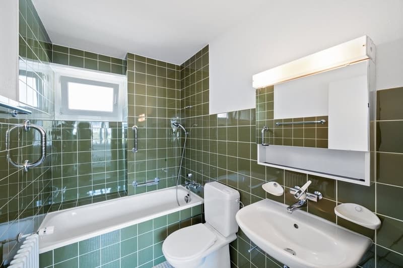 Träumen Sie von Ihrer eigenen Dachterrasse? (7)