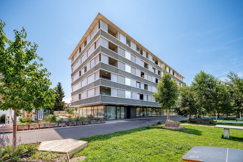 Allee_des_Cedres_14-16_Chavannes-pres-Renens_Web_Qualitaet_005.jpg
