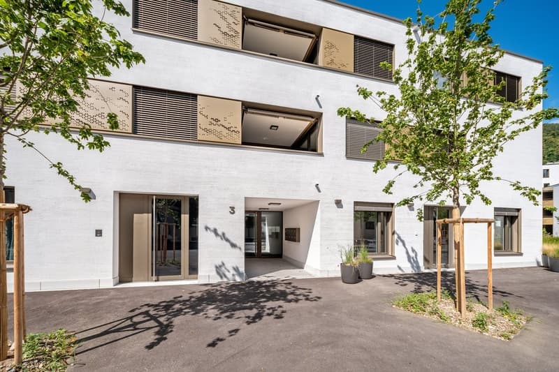 Suchen Sie ein modernes Zuhause für Ihre Familie? (1)
