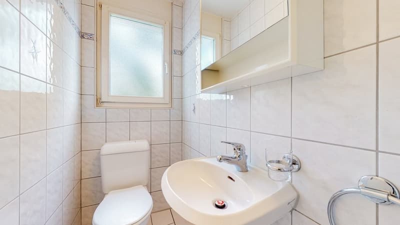 3.5-Zi-Whg-in-Binningen-WC.jpg