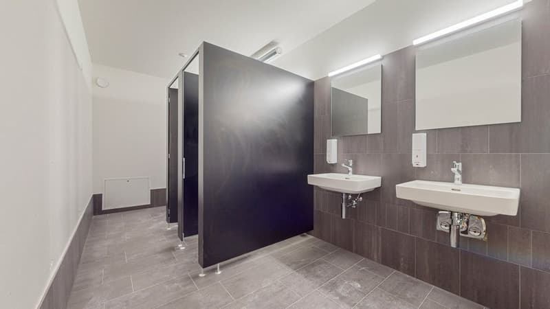 GF-in-Schlieren-WC-Herren.jpg