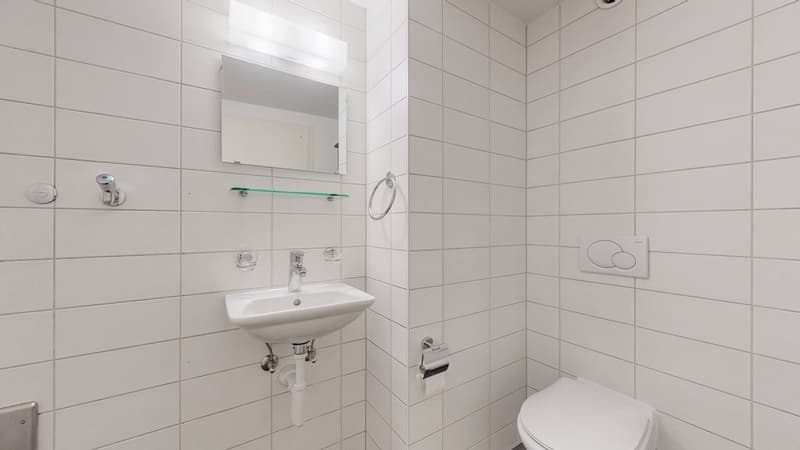 3206.18.0702-WC.jpg