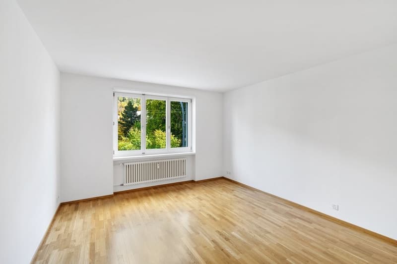 SG-8701-12-0102-Zimmer1.jpg