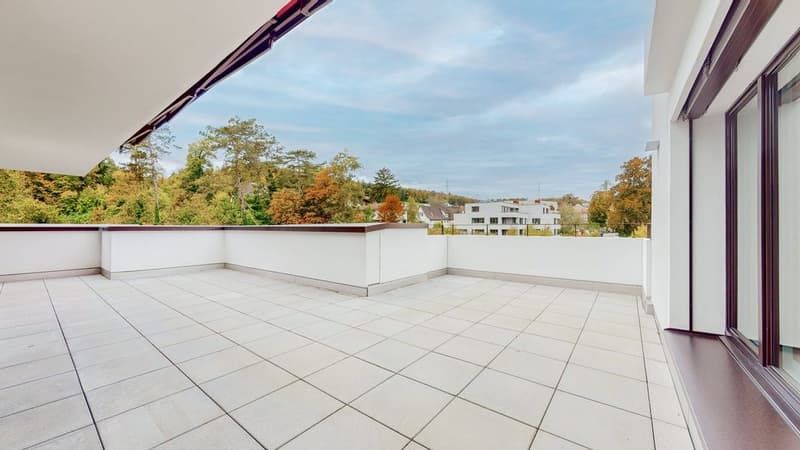 Geniessen Sie den den Feierabend auf Ihrer 126m2 Dachterrasse! (11)