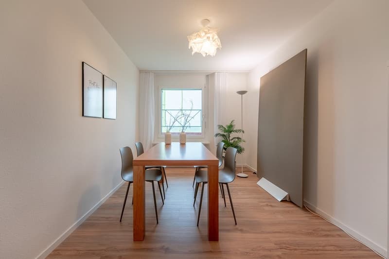 Suchen Sie ein modernes und zentrales Zuhause? (6)