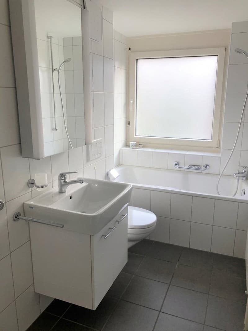 Sind Sie auf der Suche nach einer Wohnung an ruhiger Lage? (8)