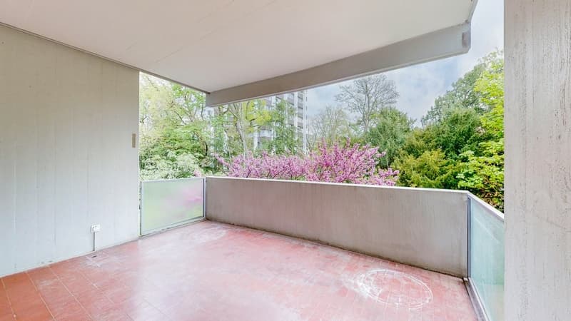 5-Zi-Whg-in-Basel-Balkon.jpg
