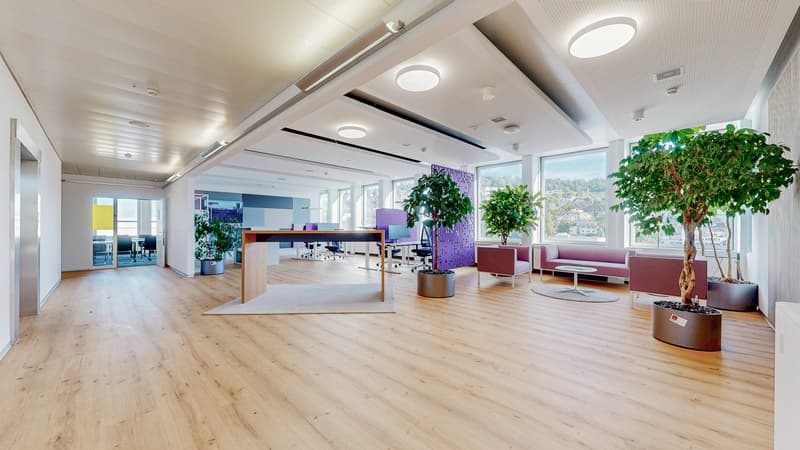 Grosszügige Büroflächen an zentraler Lage in Zürich-West flexibel anmietbar (10)