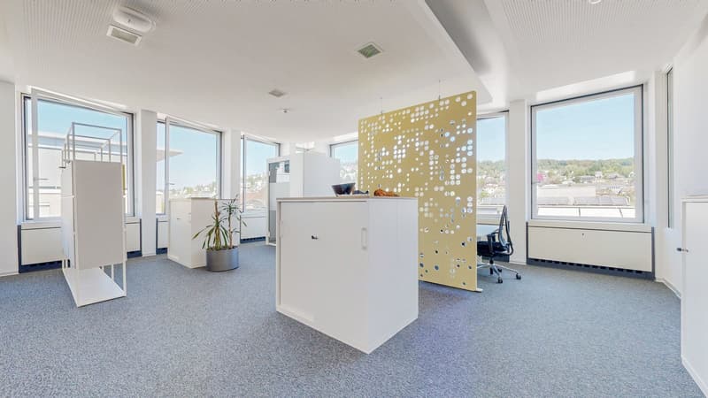 Moderne Bürofläche in Zürich-West rund 1'070 m² mit individuellem Ausbaupotenzial (8)
