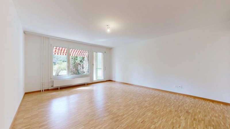 Delemont-Salle-de-sejour.jpg