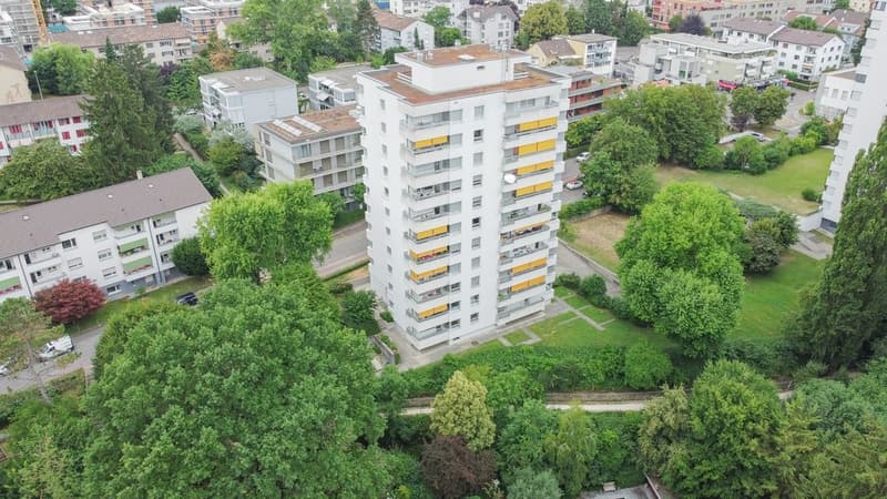 Zentrale Wohnung an grüner Lage gesucht? (1)