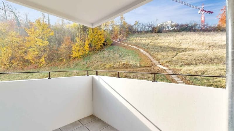 45-Zimmer-Wohnung-in-Liestal-3-OG-Balkon-2.jpg