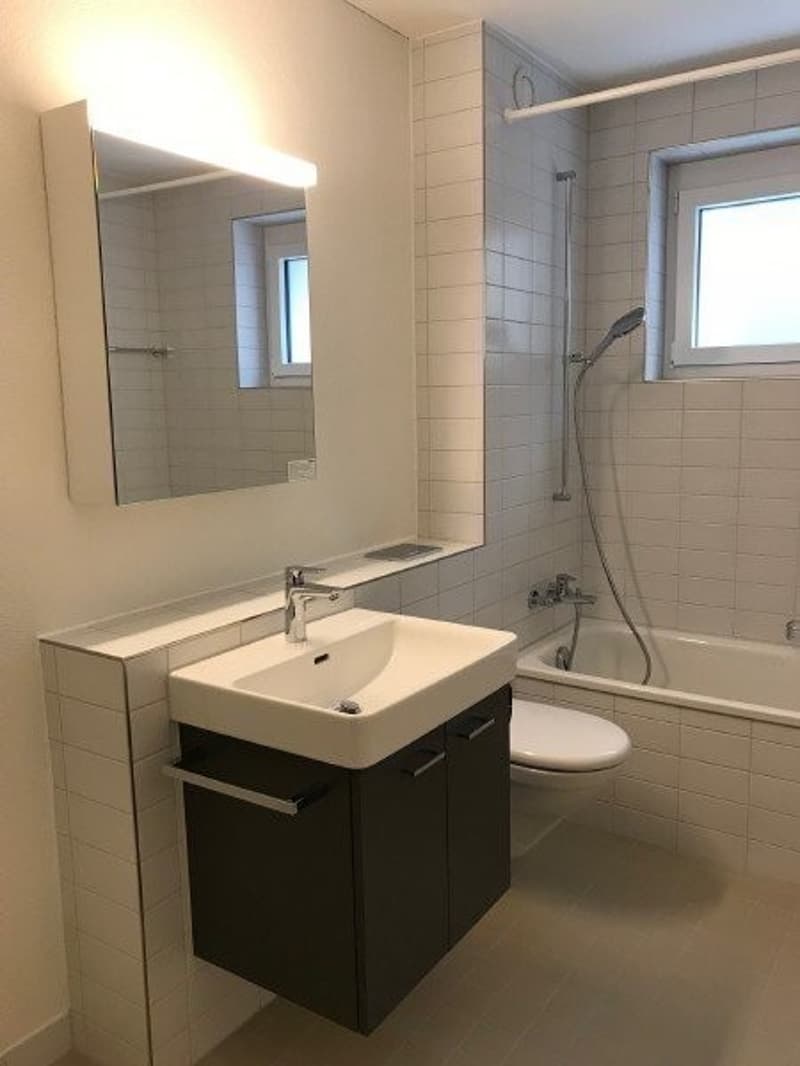 Gemütlich Wohnen in der Nähe vom Hauptbahnhof - Attika Wohnung (3)