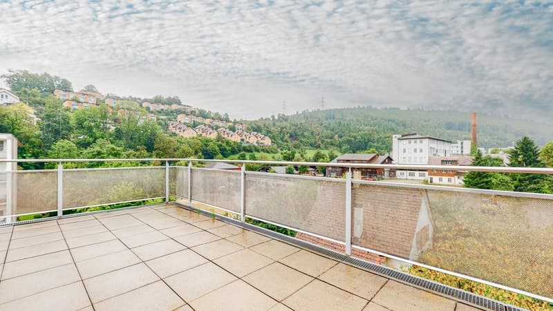 In der Stadt Zuhause, Im Grünen Daheim - Willkommen in Liestal! (9)