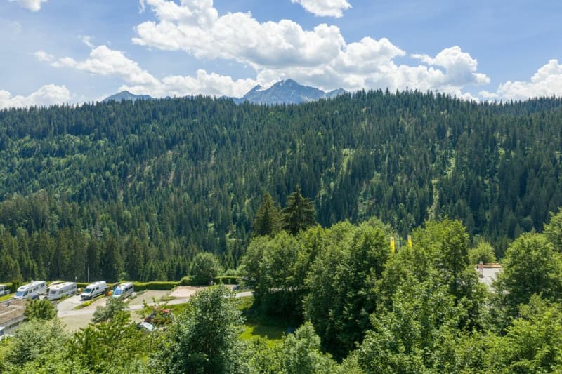 Neuwertige 3.5 Zimmerwohnung Haus Miraselva, Flims Waldhaus (17)