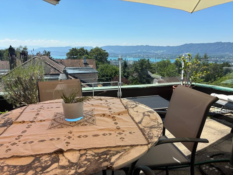 4.5-Zimmer-Attikawohnung mit Panorama-Terrasse am Zürichberg (2)