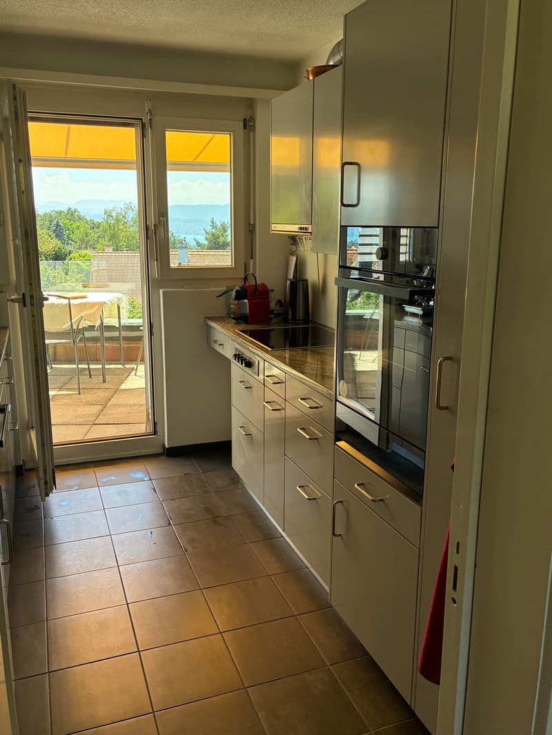 4.5-Zimmer-Attikawohnung mit Panorama-Terrasse am Zürichberg (4)