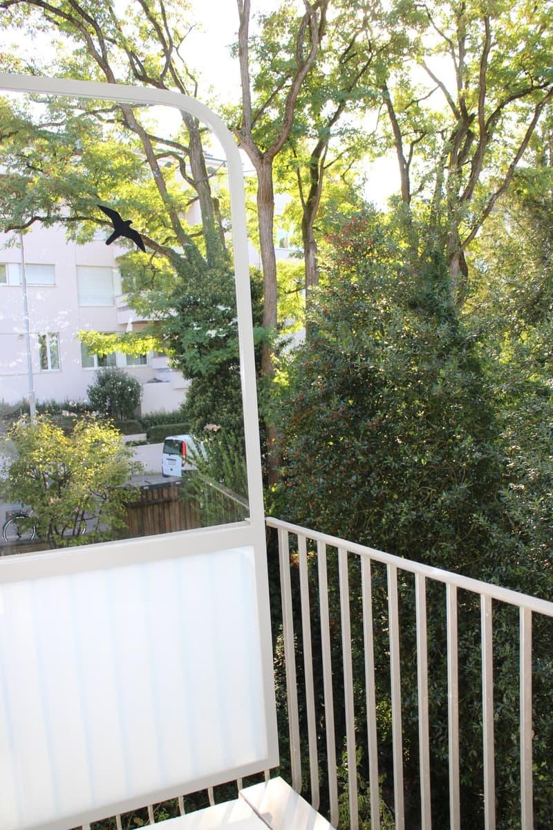 helle 2-Zimmerwohnung an ruhiger Lage am Zürichberg (6)