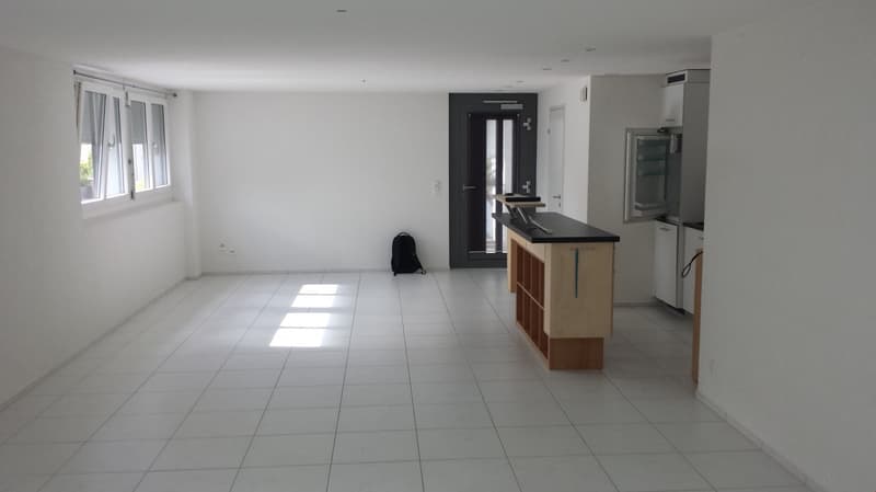 schöne 1-Zimmer-Studio im EG in gepflegter Liegenschaft (2)