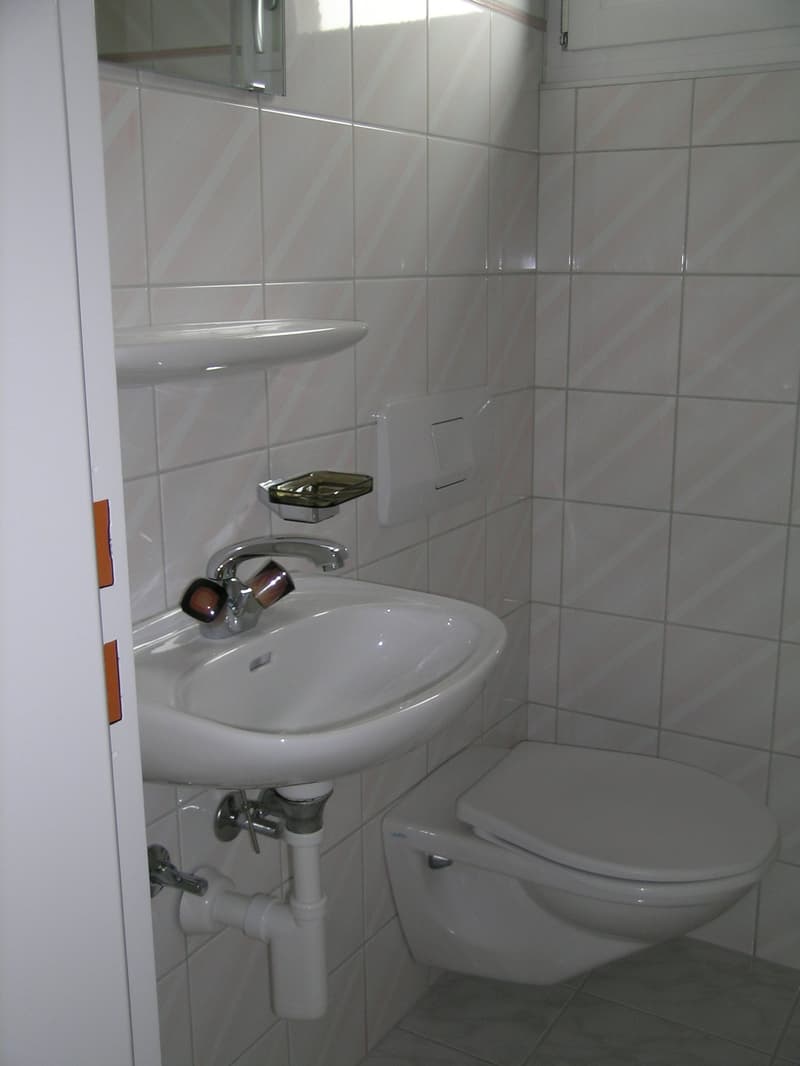 Grosse  4.5 Zi. Dachwohnung in 3 Familienhaus mit Rundumsicht (11)
