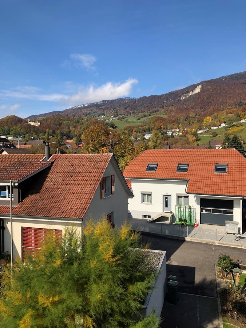 Grosse  4.5 Zi. Dachwohnung in 3 Familienhaus mit Rundumsicht (14)