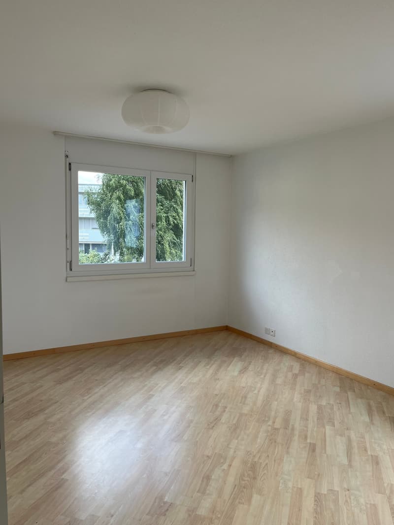 Grosse  4.5 Zi. Dachwohnung in 3 Familienhaus mit Rundumsicht (12)