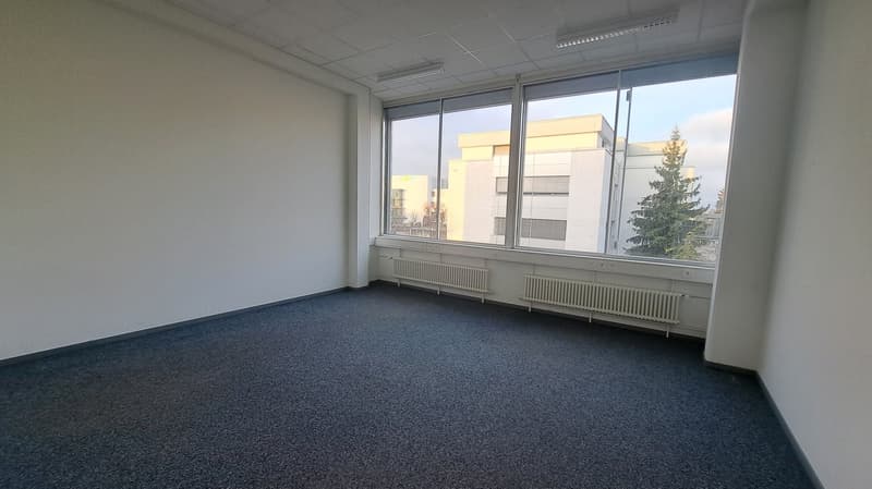 Empty room, large windows, white walls, blue carpet, large white windows.