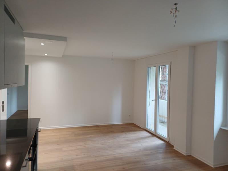 Charmante 2-Zimmer-Wohnung in ruhiger Lage in Reinach (2)