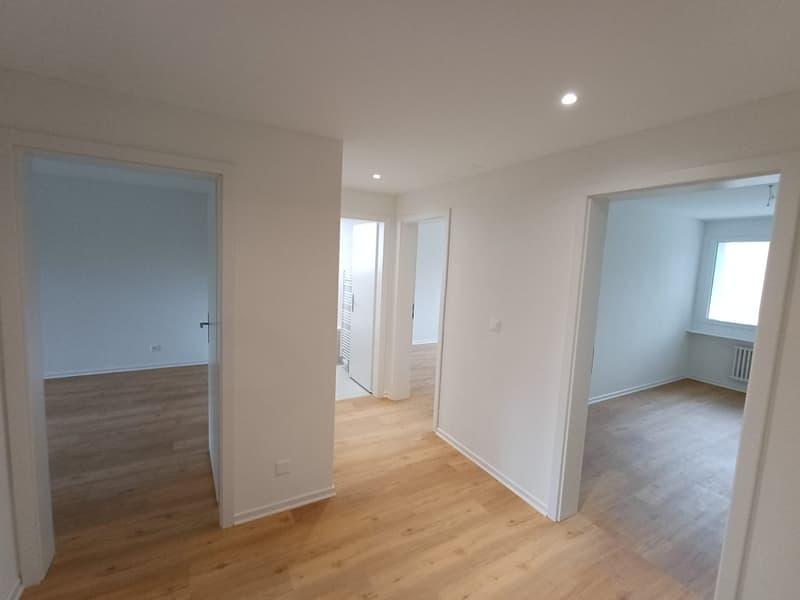 Charmante 3-Zimmer-Wohnung in ruhiger Lage in Reinach (7)