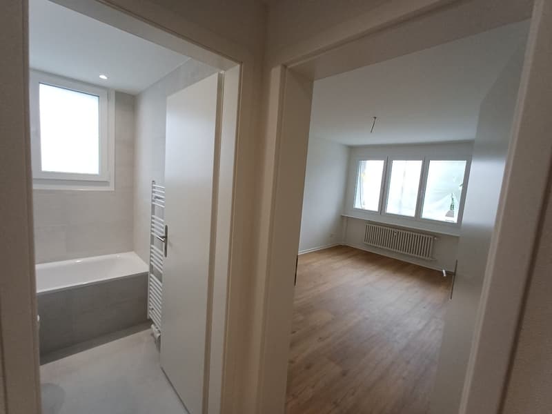 Charmante 3-Zimmer-Wohnung in ruhiger Lage in Reinach (9)