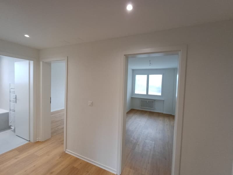 Charmante 3-Zimmer-Wohnung in ruhiger Lage in Reinach (10)