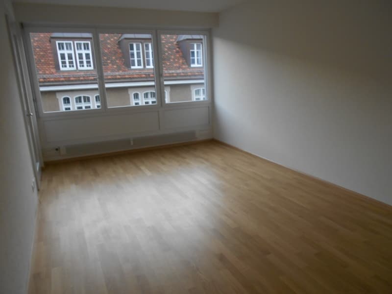 renoviert, zentral, ruhig und hell, Nähe Wettsteinplatz & Claraplatz (2)