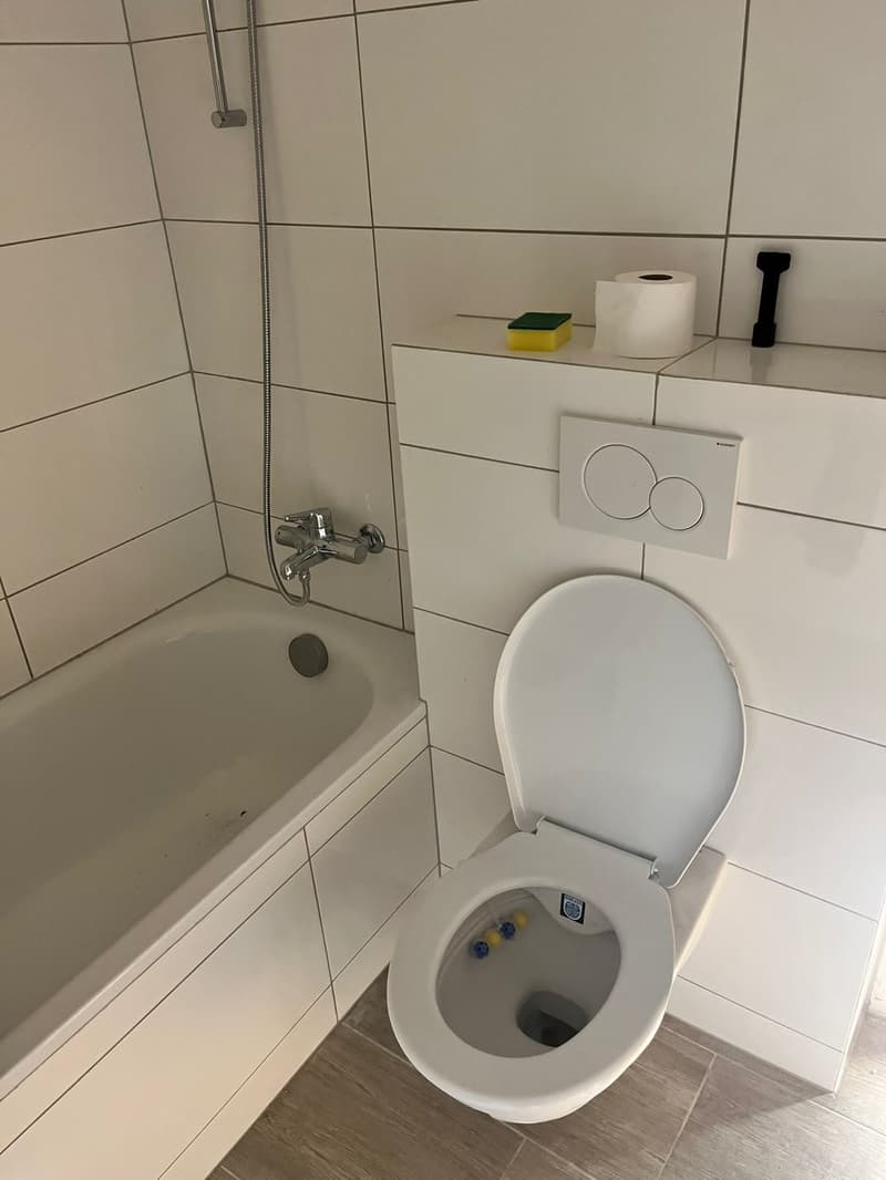 renovierte helle 4-Zimmerwohnung an zentraler Lage (3)