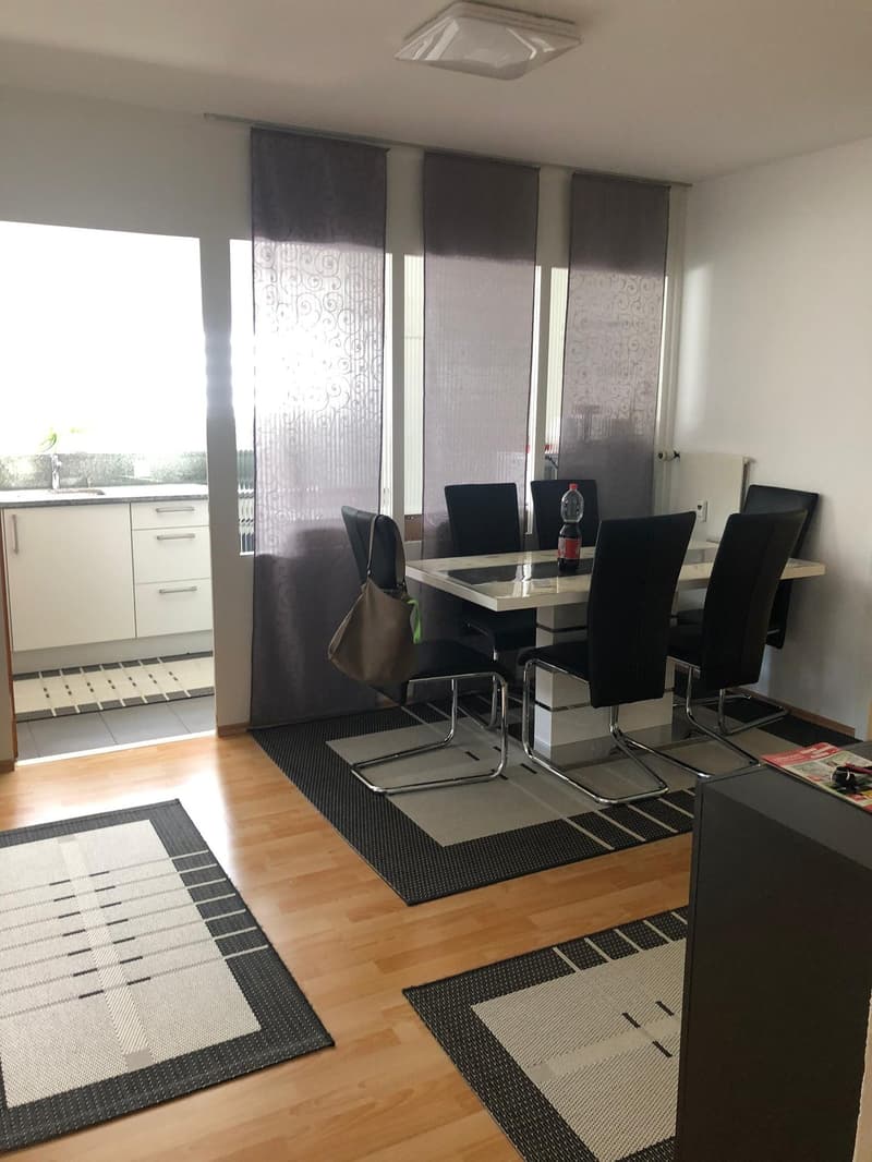 renovierte helle 4-Zimmerwohnung an zentraler Lage (5)