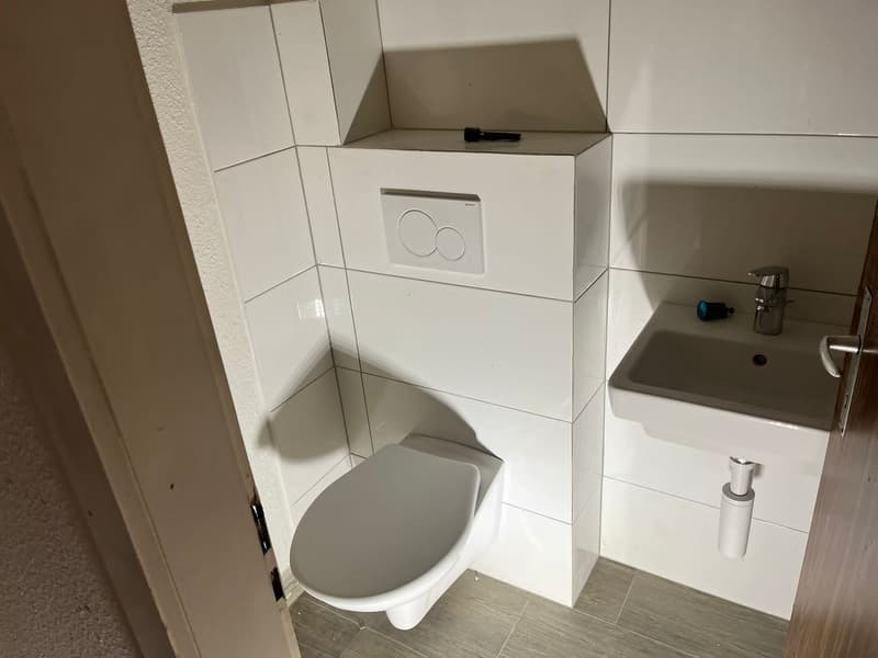 renovierte helle 4-Zimmerwohnung an zentraler Lage (6)