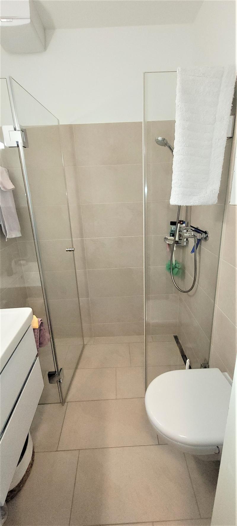 NEWLY REFURBISHED! Attic Business Apartment quiet,central & roof-deck & magnificent panoramic view (12)