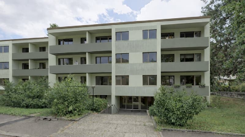 Helle, moderne 2-Zimmer-Wohnung in Reinach (1)