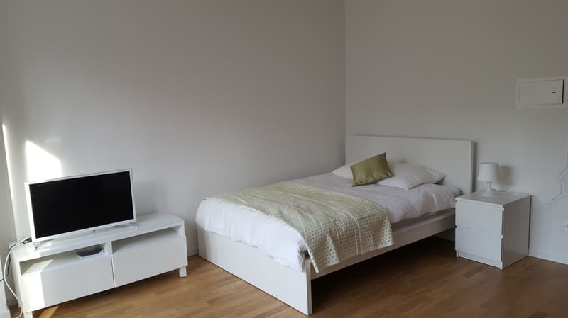 Business Apartment quiet & central with breathtaking panoramic view on roof deck! (8)