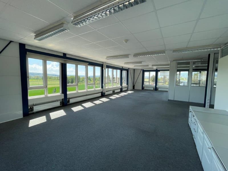 large room, fluorescent lighting, grey carpet, large windows, exterior views