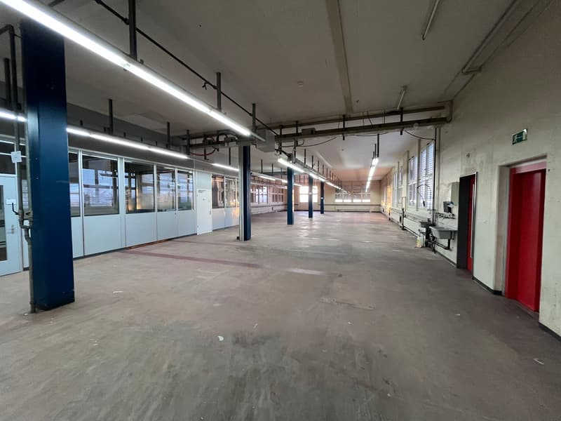 Industrial building, wide open space, long hallway, fluorescent lights, concrete floor, several windows, red doors